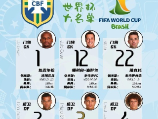 2014世界杯积分榜排名，重温巴西之夏的荣耀与遗憾