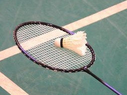 尤尼克斯羽毛球排行榜，2025年度最值得入手的球拍与装备全解析