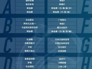 亚洲篮球锦标赛排名，格局重塑与未来展望