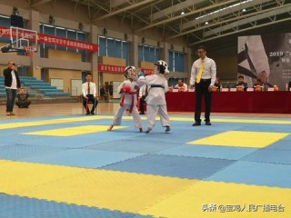 东京奥运会空手道金牌榜，8枚金牌背后的竞技荣耀与项目意义