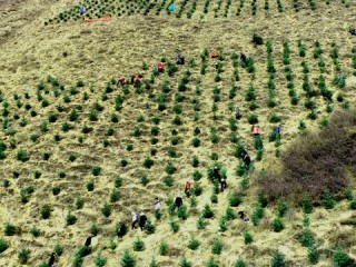 2026年世界杯在哪里踢？北美三国联合主办，书写足球新篇章
