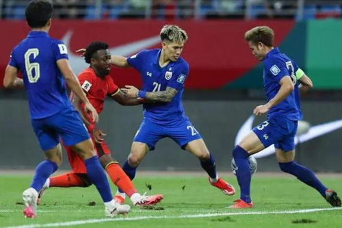 中国足球出线是哪一届世界杯,圆梦2002,镌刻永恒的记忆 中国足球出线是哪一届世界杯,圆梦2002,镌刻永恒的记忆