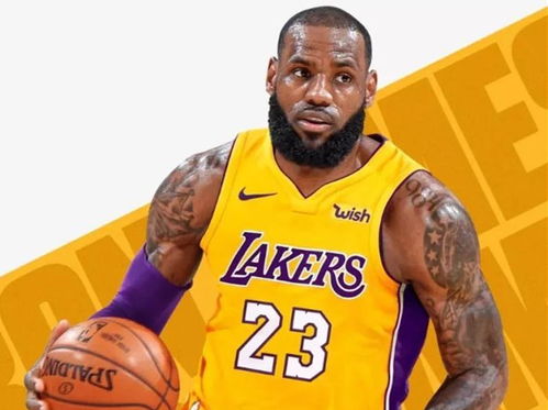 紫金征途,2024-25赛季NBA湖人赛程全解析与看点前瞻 紫金征途,2024-25赛季NBA湖人赛程全解析与看点前瞻
