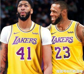 火箭vs湖人，一场天赋与韧性的西部史诗对决