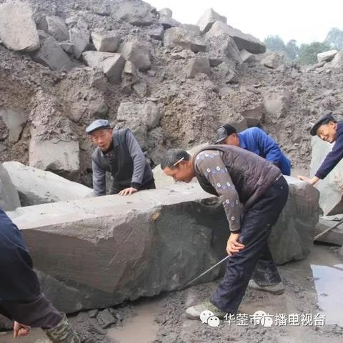 中国队篮球队员名单，新老交替，蓄力未来