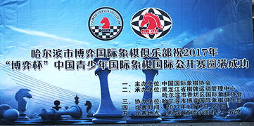 比赛的两大支柱,淘汰赛与循环赛的博弈与魅力 比赛的两大支柱,淘汰赛与循环赛的博弈与魅力