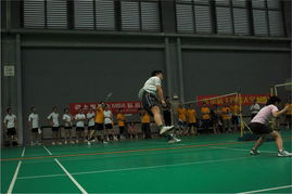 羽球荣光,中国历届羽毛球冠军名单背后的辉煌征程 羽球荣光,中国历届羽毛球冠军名单背后的辉煌征程