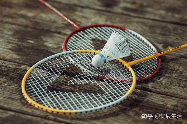家用羽毛球拍怎么选，从入门到进阶，一篇讲透选拍要点