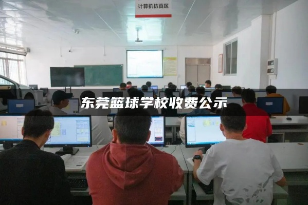 东莞篮球学校学费多少钱一年？一文详解收费标准与价值分析