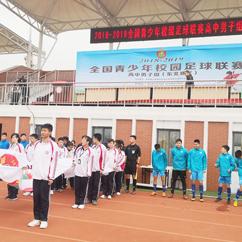 逐鹿巅峰，NCAA橄榄球赛制流程全解析
